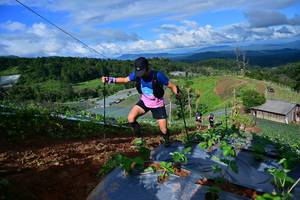 BIB: 
                            <button type="button" onclick="openModal(13381763)" class="btn btn-primary btn-sm float-right btn-popup" data-toggle="modal" data-target=".modal-high-quality">
                        <i class="fas fa-shopping-cart"></i> Add to Cart
                    </button>
                                            <button type="button" onclick="isThisMe(13381763, true)" class="btn btn-success btn-sm float-right btn-popup btn-isme hidden" data-toggle="tooltip" data-placement="bottom" title="นี่คือรูปของคุณใช่ไหม คลิกที่นี่เพื่อเอาเข้าอัลบั้ม">
                        <i class="fas fa-plus"></i> Add to album
                    </button>
                    <button type="button" onclick="isThisMe(13381763, false)" class="btn btn-warning btn-sm float-right btn-popup btn-isnotme hidden">
                        <i class="fas fa-ban"></i> Remove from album
                    </button>